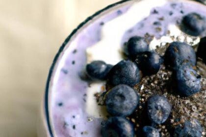 Blueberry Chia Pudding: A Nutritious Delight to Savor