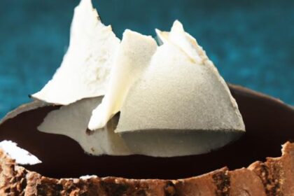 Decadent Frozen French Chocolate Dome: A Delightful Treat